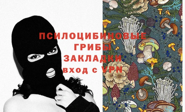 молекула духа Армянск